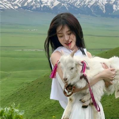 咳,小母牛